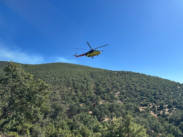 Uşak Sivaslı'da meşelikte çıkan yangın havadan ve karadan kontrol altına alındı