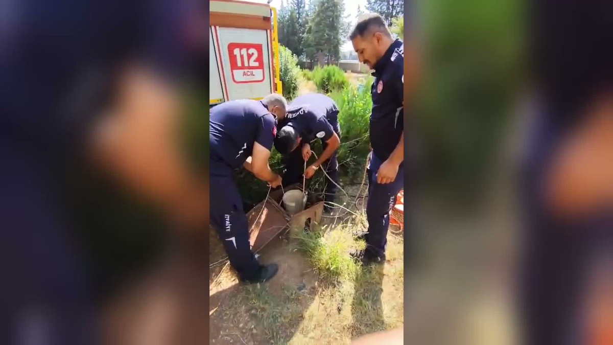 Adıyaman\'da kuyuya düşen yavru kedi itfaiye ekiplerince kurtarıldı