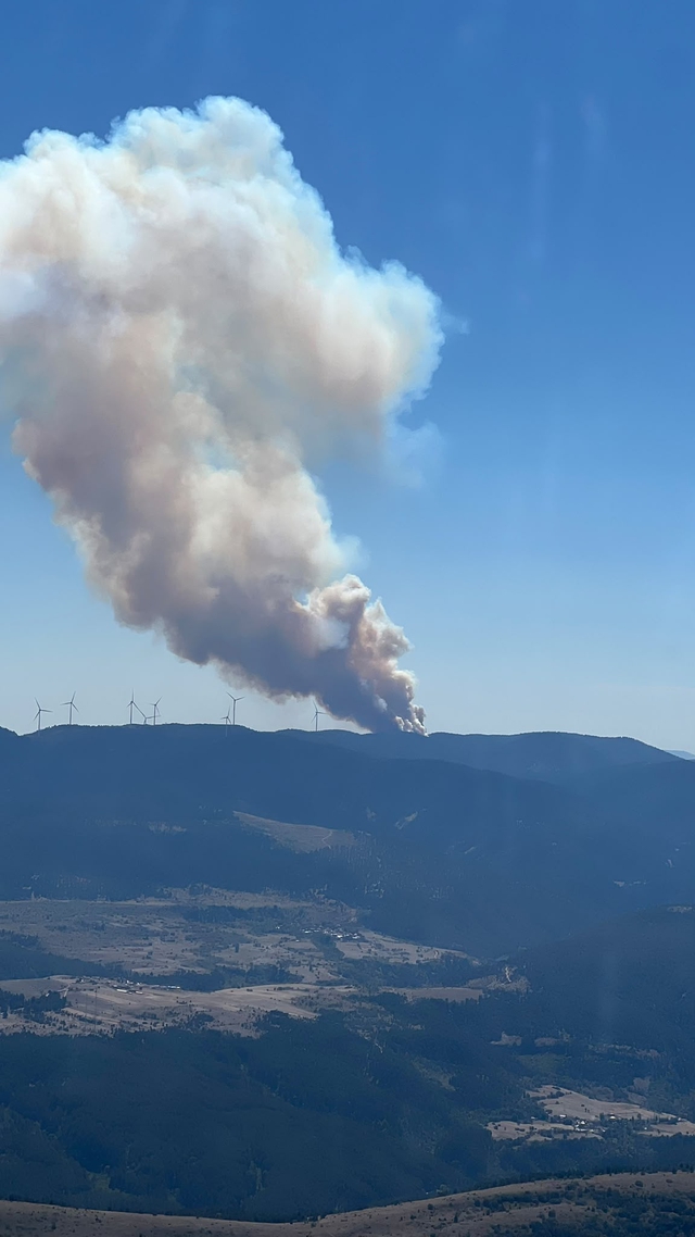 Ankara'da orman yangını! Ekipler zamanla yarışıyor