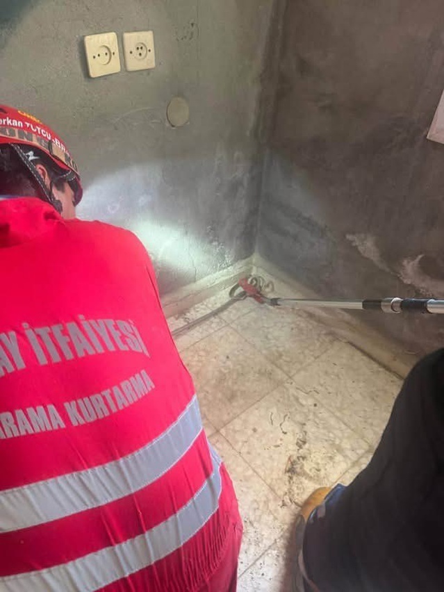 Antakya'da evin içine giren yılan zarar verilmeden yakalanıp doğaya bırakıldı