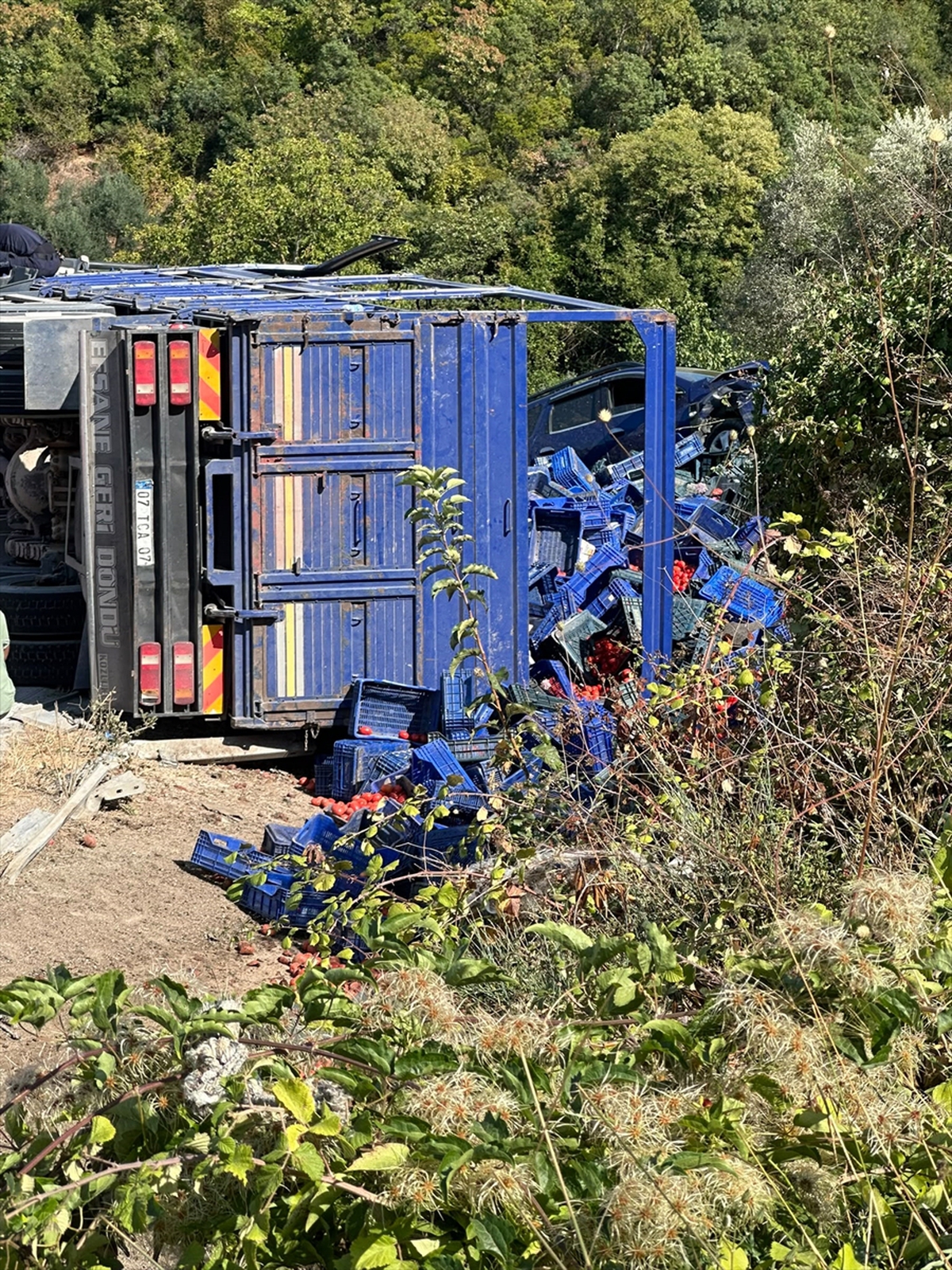 İznik-Yenişehir yolunda domates yüklü kamyon otomobile çarptı, 1 kişi öldü