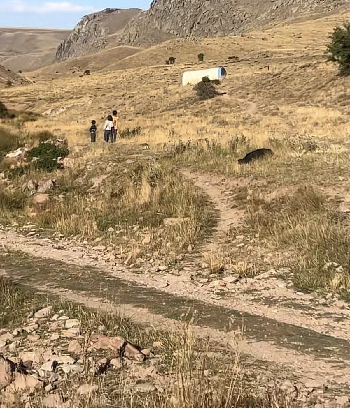 Yaylada kaybolan Büşra bebeğin kanlı elbiselerine 2 gün sonra ulaşıldı