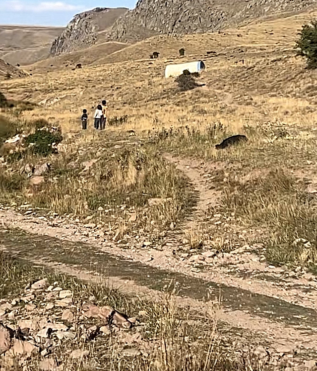 Yaylada kaybolan Büşra bebeğin kanlı elbiselerine 2 gün sonra ulaşıldı