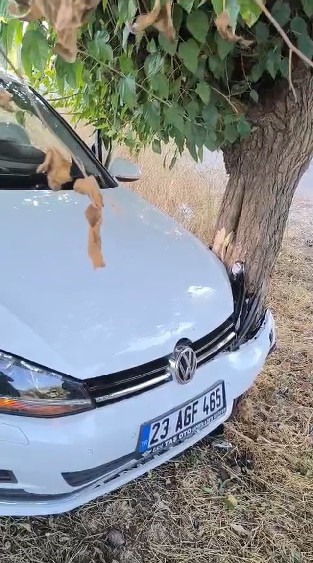 Elazığ-Bingöl karayolunda otomobil ağaca çarptı, 2 kişi yaralandı
