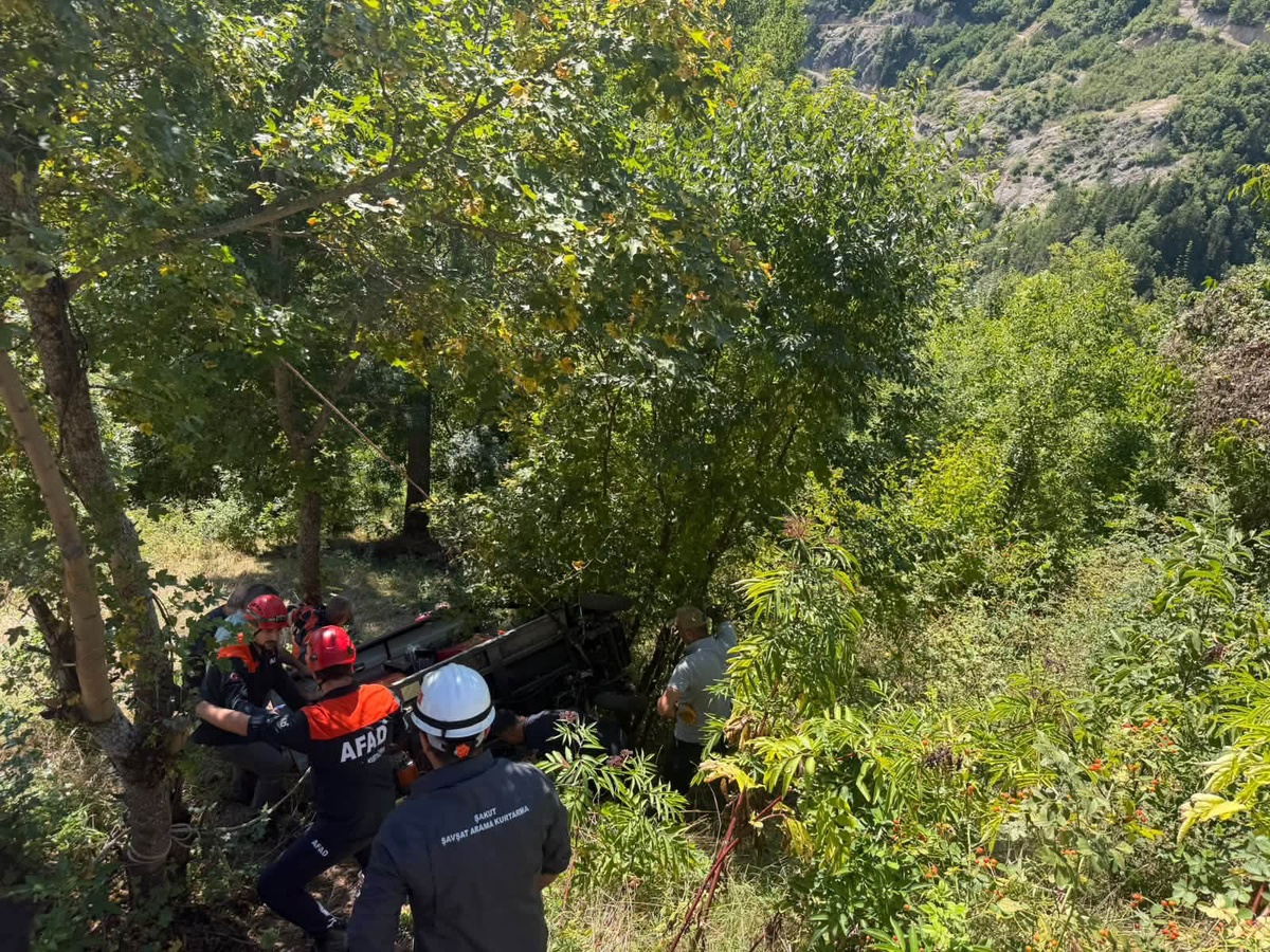 Artvin Şavşat\'ta elektrikli araç şarampole devrildi, 75 yaşındaki sürücü hayatını kaybetti