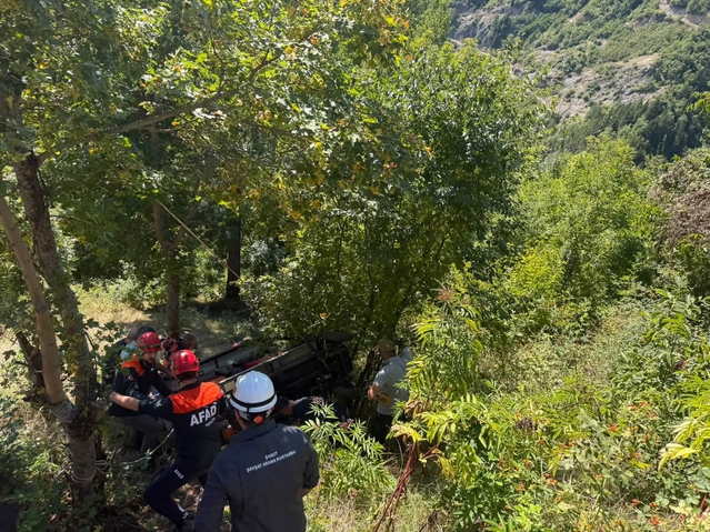 Artvin Şavşat'ta elektrikli araç şarampole devrildi, 75 yaşındaki sürücü hayatını kaybetti