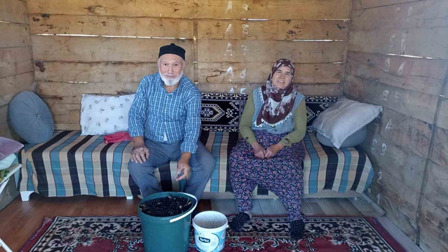 Havza'da emekli çift aronya bahçesiyle alternatif tarıma örnek oldu