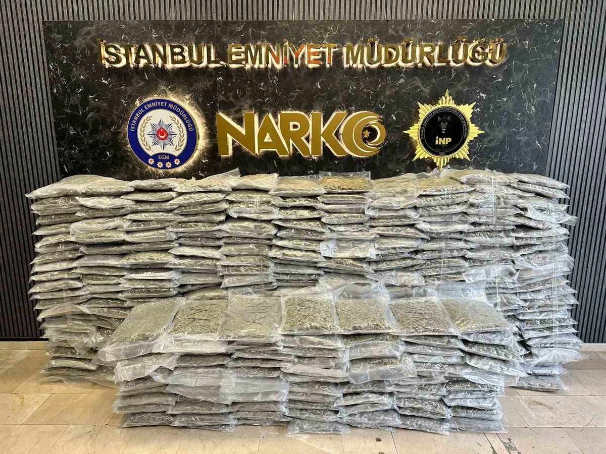 İstanbul Beykoz'da 409 kilo 600 gram skunk ele geçirildi, 3 şüpheli gözaltına alındı