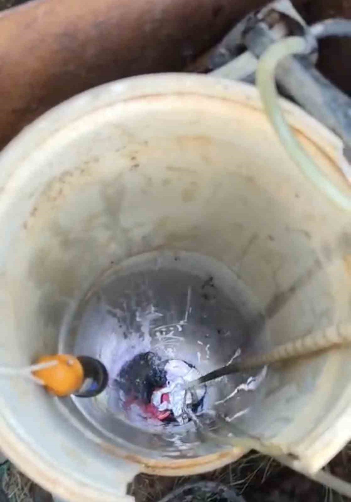 Adıyaman\'da sondaj kuyusuna düşen yavru kedi itfaiye tarafından kurtarıldı