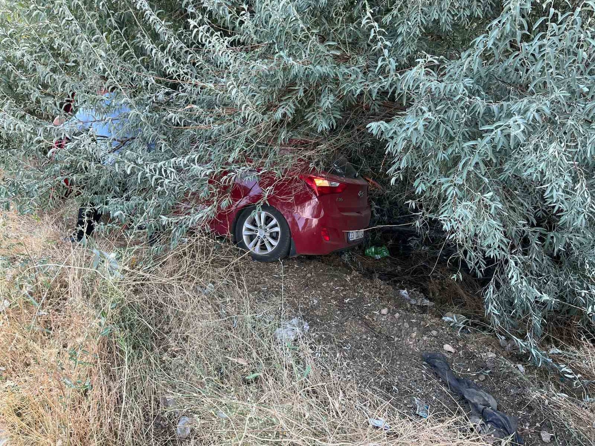 Malatya-Adıyaman karayolunda otomobil şarampole devrildi, 1 kişi hafif yaralandı