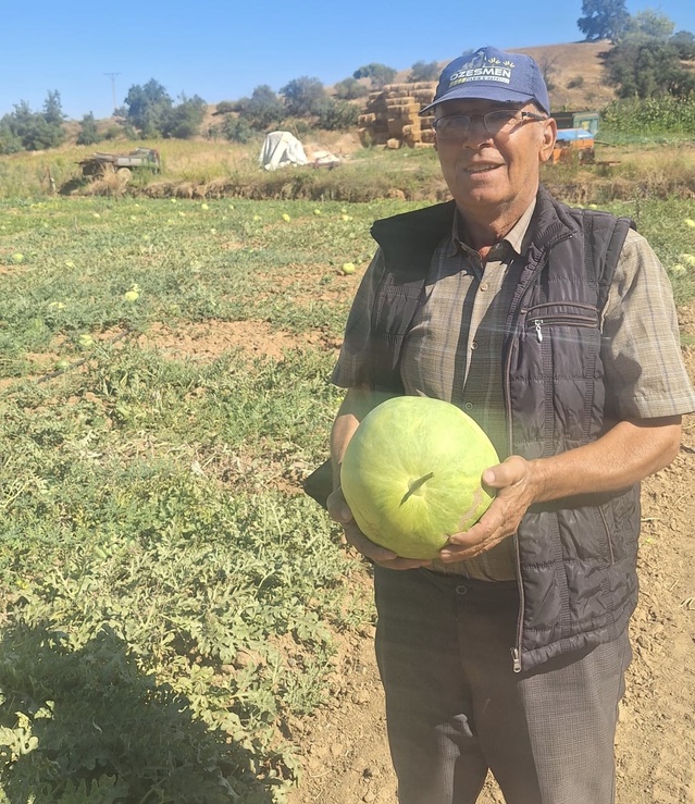 Manisalı üretici Cerit, ata tohumu karpuzları gelecek nesillere taşıyor