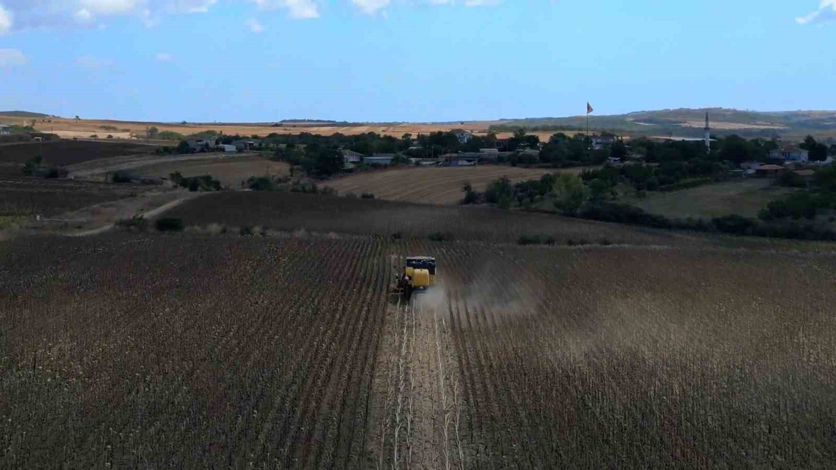 Tekirdağ\'da ayçiçeği tarlasının tohumdan hasada yolculuğu dronla görüntülendi