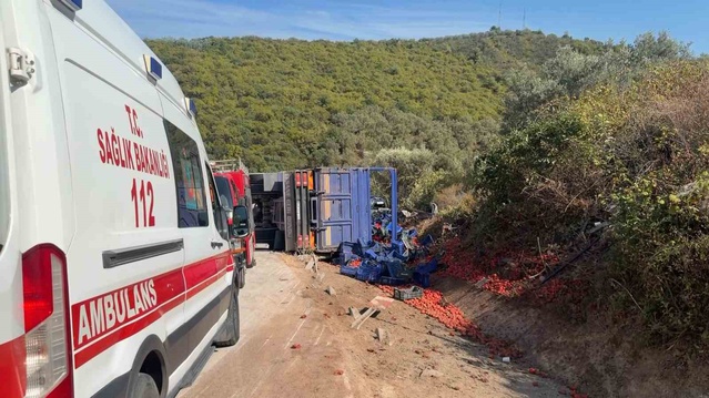 İznik'te virajı alamayan kamyon park halindeki araca çarptı, 1 kişi öldü