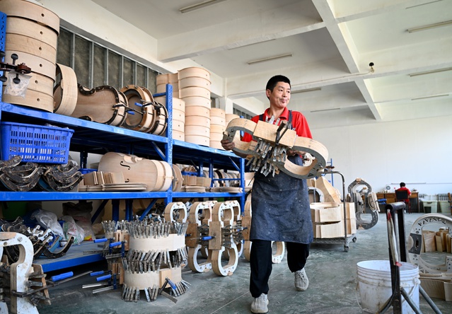 Henan'daki Queshan ilçesi yılda 400 bine yakın keman üretiyor