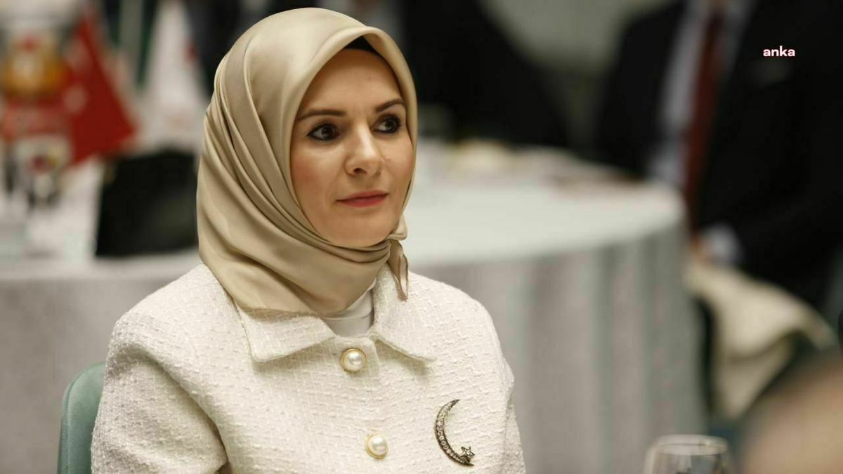 Göktaş\'tan dijital platformlara e-Devlet girişli yönetmelik müjdesi