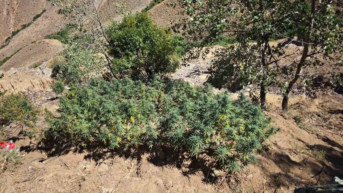 Bingöl\'de jandarma bir haftada 41 olaya müdahale etti, 38 şüpheli yakalandı