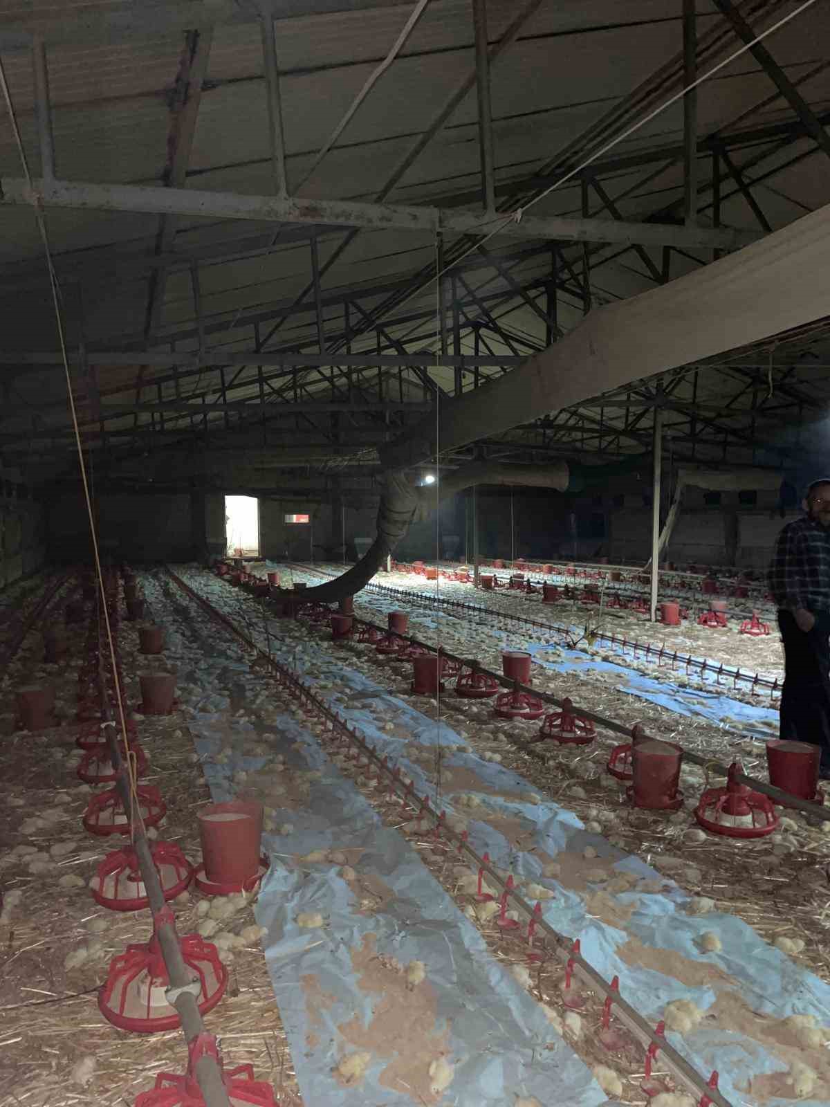 Bolu Göynük'te kümes yangınında 24 bin civciv telef oldu