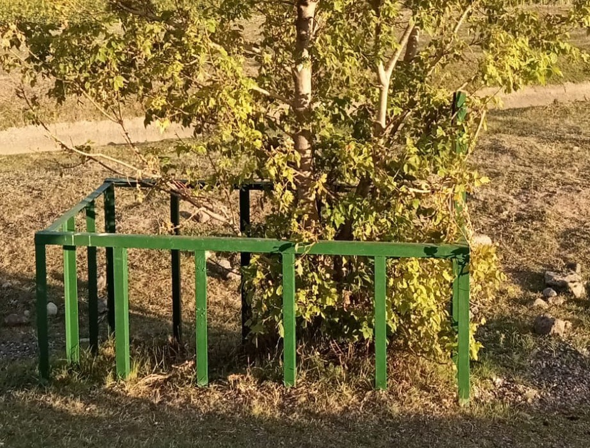 Çanakkale ruhu Erzurum yolunda