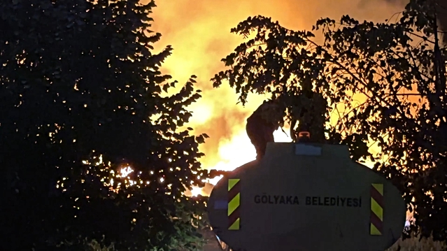 Düzce Hacıaliler köyündeki fabrika yangınına Sakarya ve Bolu'dan itfaiye gitti