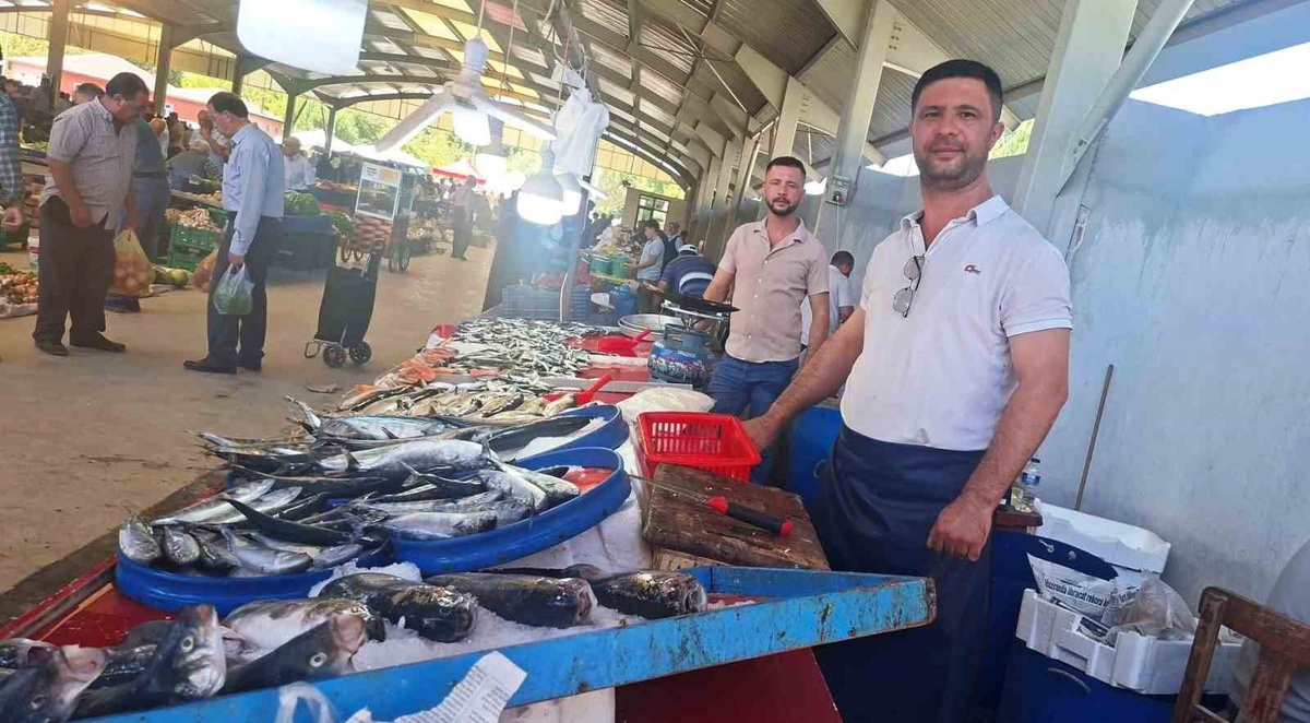 Hisarcık\'ta palamut bolluğu yaşanıyor, 80-100 TL\'den satılıyor