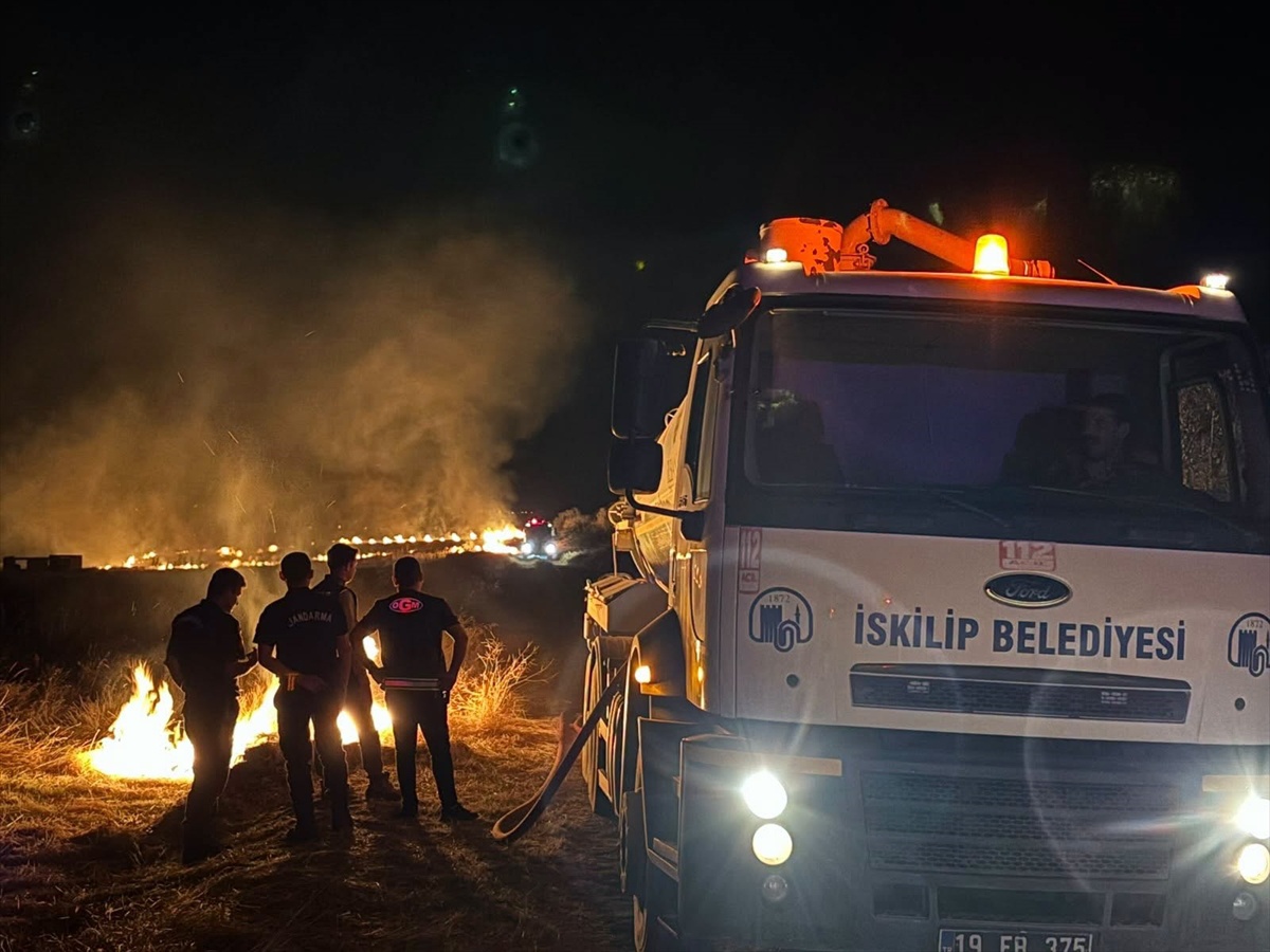 İskilip\'te 6 gündür süren anız yangınlarında 20 bin dekar alan zarar gördü