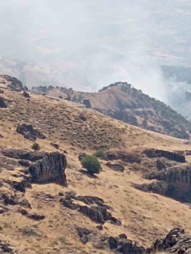 Tunceli Nazımiye'de orman yangını, sarp arazi nedeniyle havadan müdahale sürüyor
