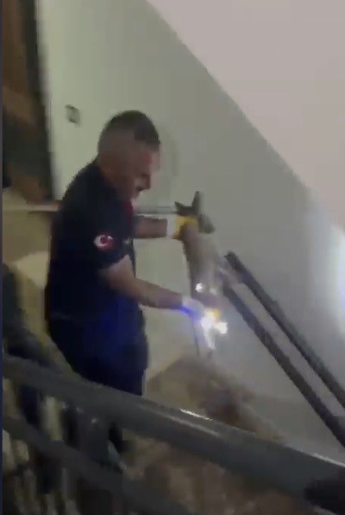 Osmaniye\'de binanın 3\'üncü katına çıkan tilki itfaiyece yakalanıp doğaya bırakıldı