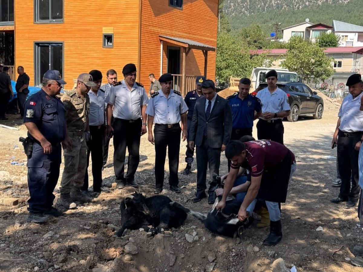 Pozantı Akçatekir'de yeni jandarma karakol binasının temeli törenle atıldı