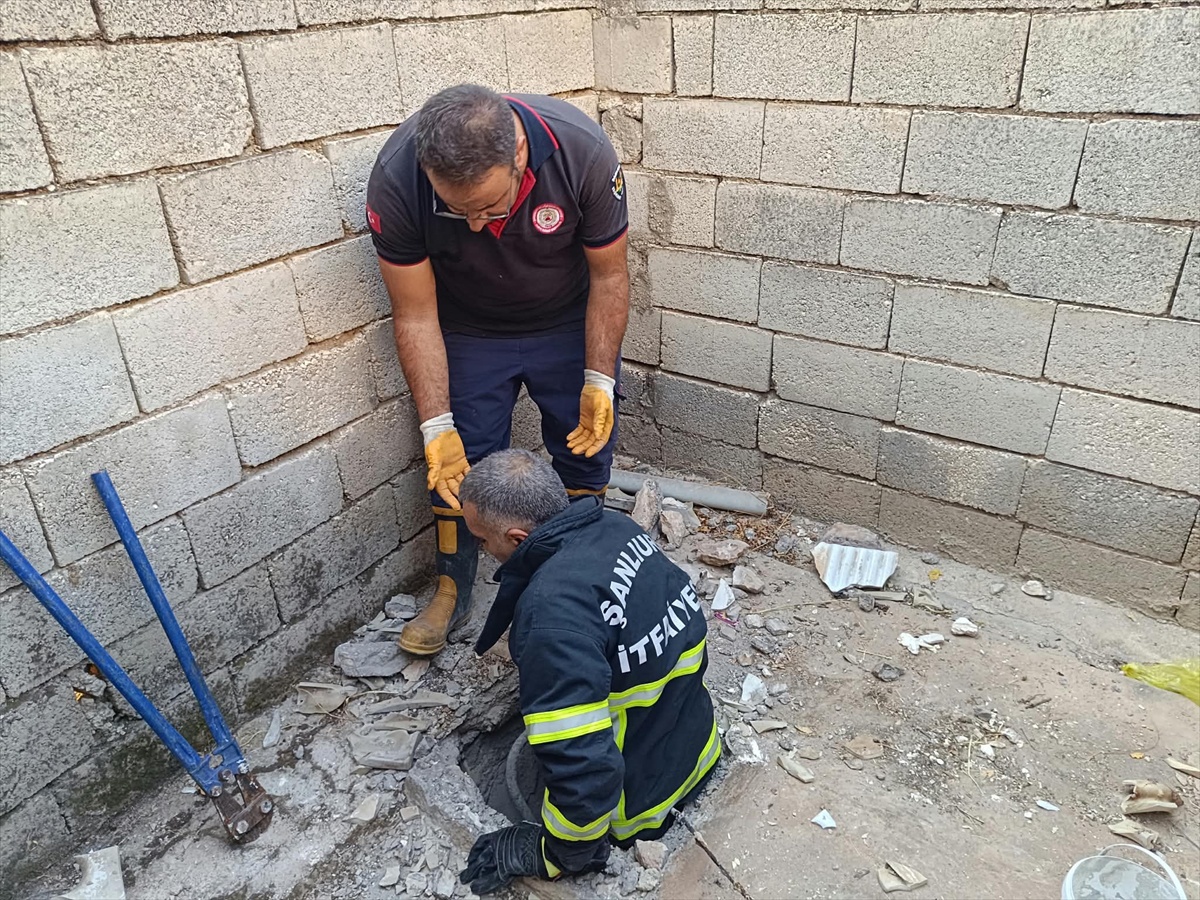 Şanlıurfa\'da 6 metre derinliğindeki foseptik çukuruna düşen kedi kurtarıldı