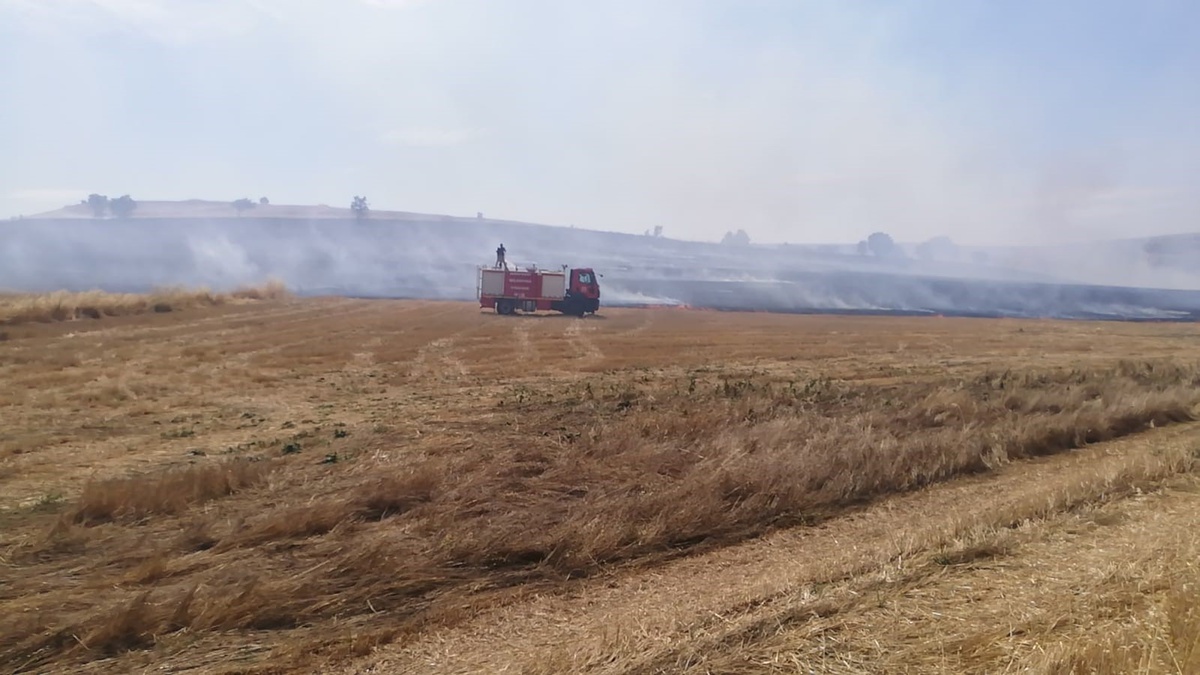 Yozgat Saraykent'te anız ateşi 150 dönüm otluk alanı yaktı