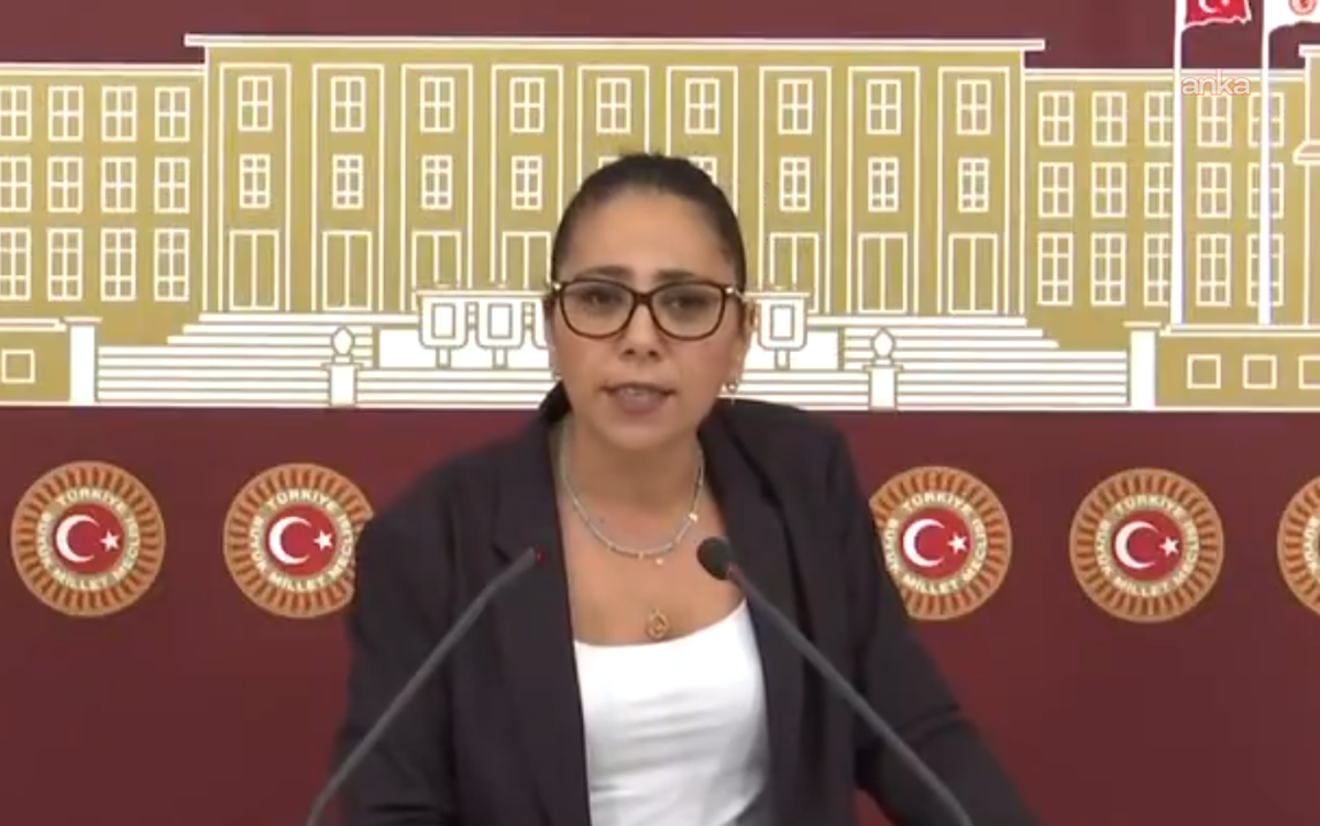 Sera Kadıgil: Muhalefeti yok etme operasyonu sürüyor