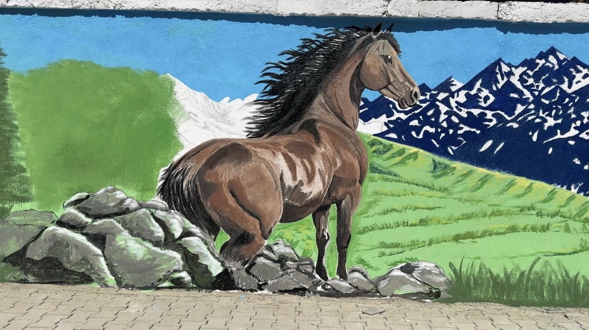 Yüksekova\'da emniyet binasının duvarları açık hava galerisine dönüştü