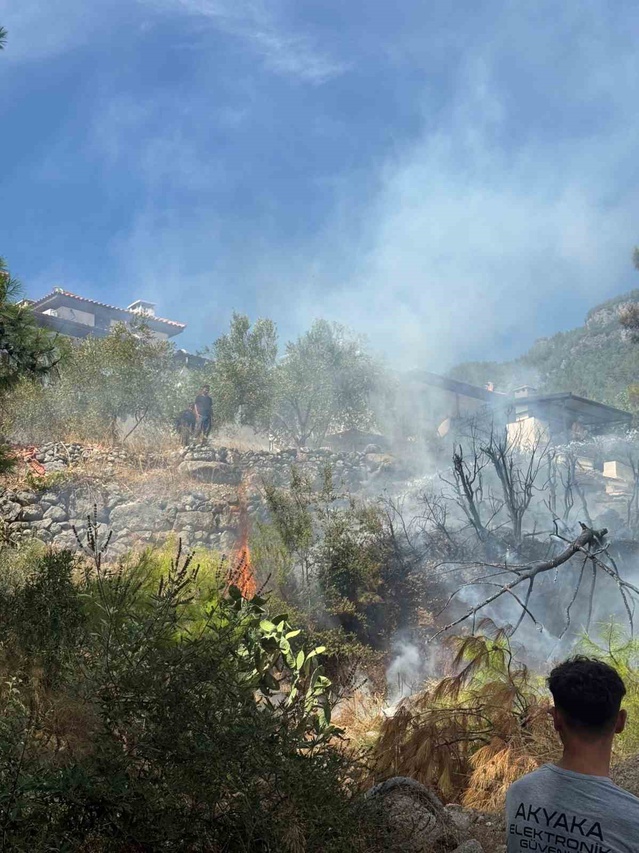 Muğla Akyaka'da zeytinlik alandaki yangın evlere sıçramadan söndürüldü