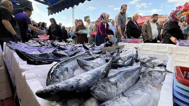 Bolu'da palamut ve hamsi bolluğu tezgahlara yansıdı, balıkçılarda metrelerce kuyruk oluştu