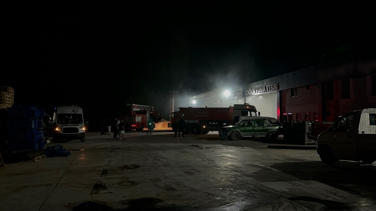 Bursa İznik\'te soğuk hava deposunda çıkan yangın söndürüldü