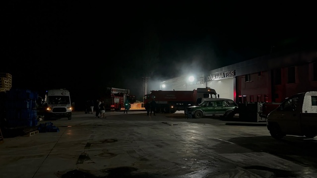 Bursa İznik'te soğuk hava deposunda çıkan yangın söndürüldü