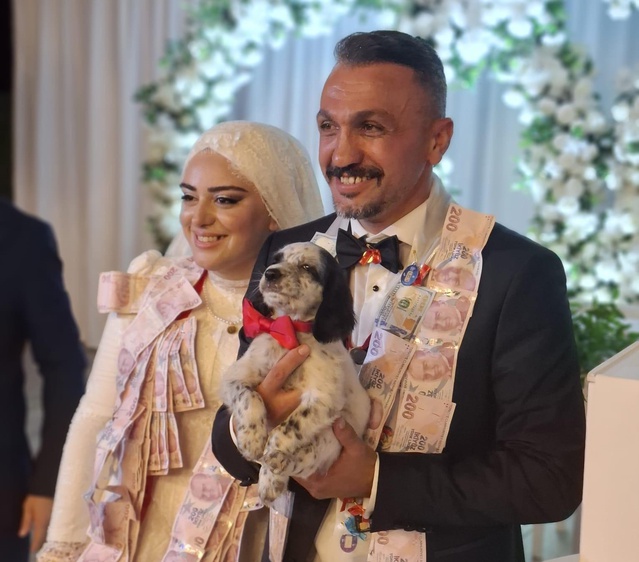 Trabzon düğününde damada takı yerine Manisa'dan getirilen av köpeği yavrusu hediye edildi