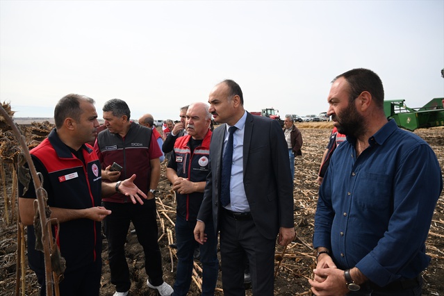 Edirne'de ayçiçeği projesinde hasat yapıldı, en iyi ekim yöntemi aranıyor