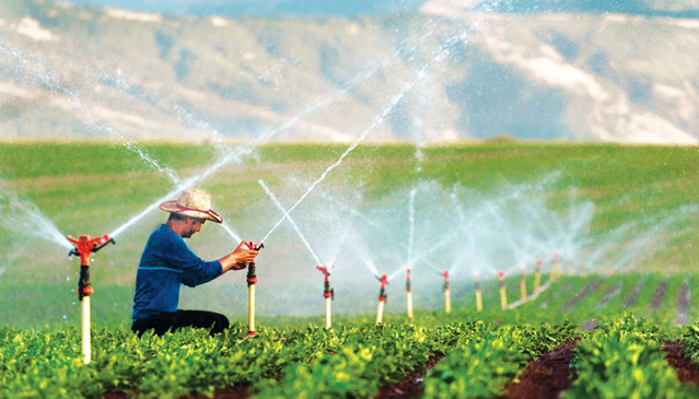 Erzincan'da 38 tarım projesine 169,6 milyon lira hibe onaylandı