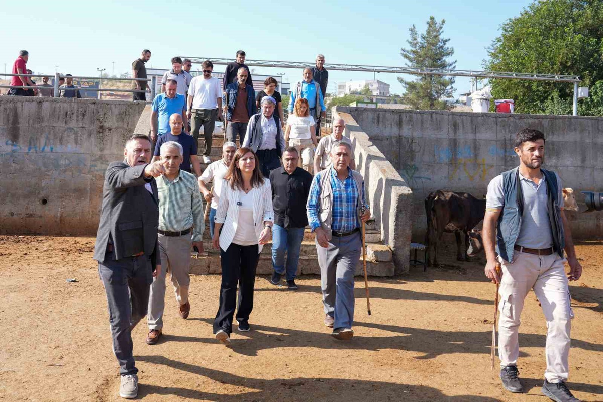 Diyarbakır Hayvan Borsası\'na kış öncesi geçici kapalı alan yapılacak