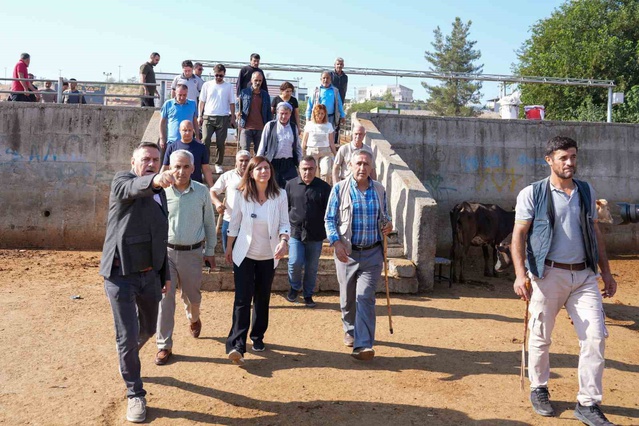 Diyarbakır Hayvan Borsası'na kış öncesi geçici kapalı alan yapılacak