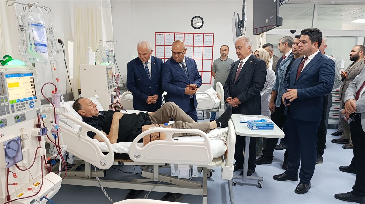 Giresun Eynesil\'de bitkin bulunan kızıl şahin bakım sonrası doğaya salındı