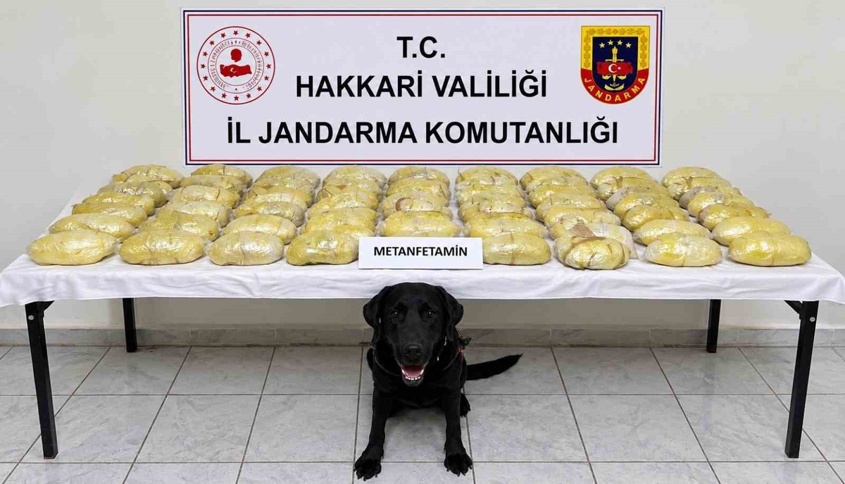 Hakkâri\'de yabancı plakalı tırda 21 kilo 700 gram metamfetamin ele geçirildi