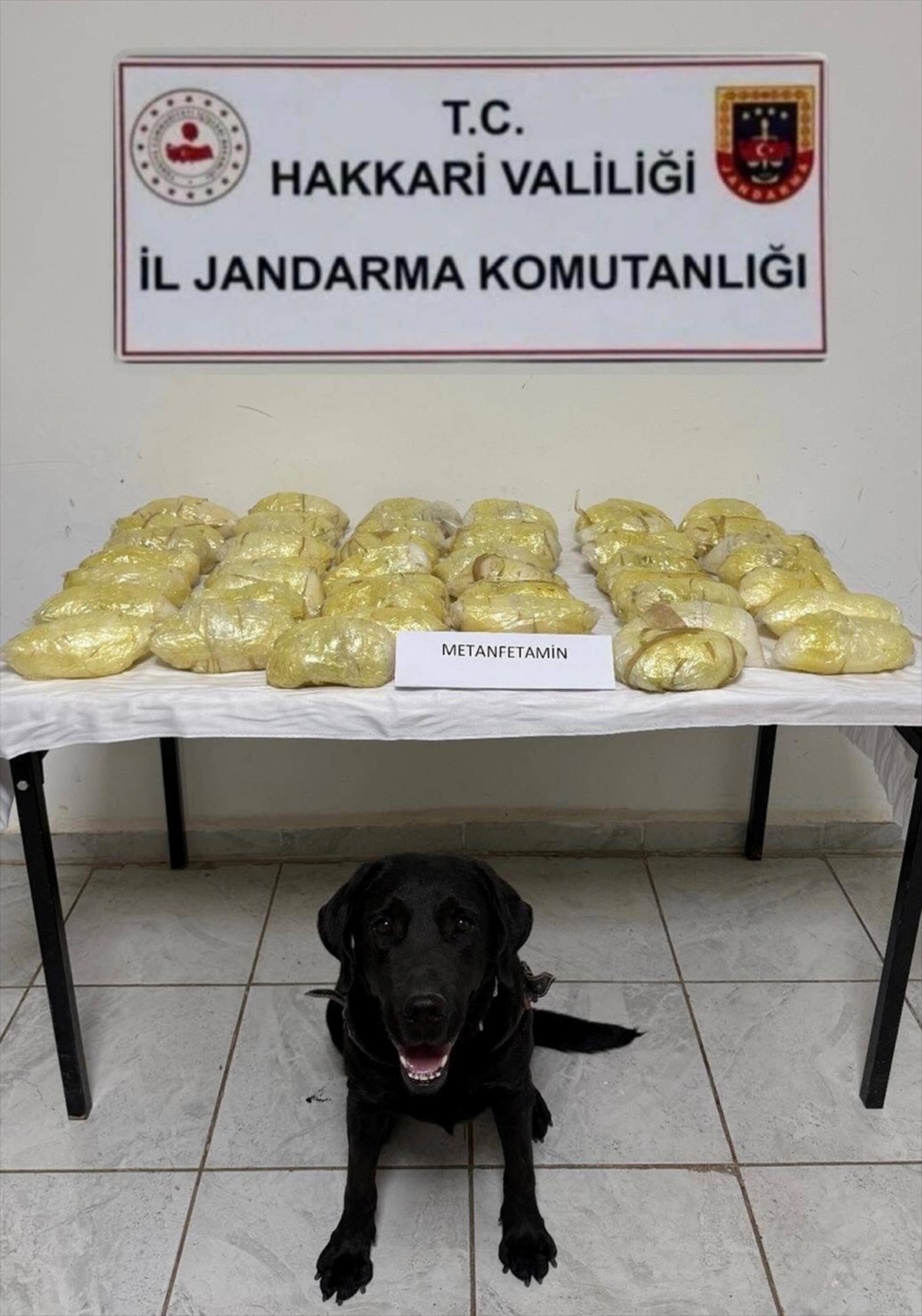 Hakkari\'de Kırgızistan plakalı tırda 21 kilo 700 gram uyuşturucu ele geçirildi