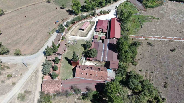 Daday'da kadınlar imeceyle elma ekşisi ve pestil hazırlıyor