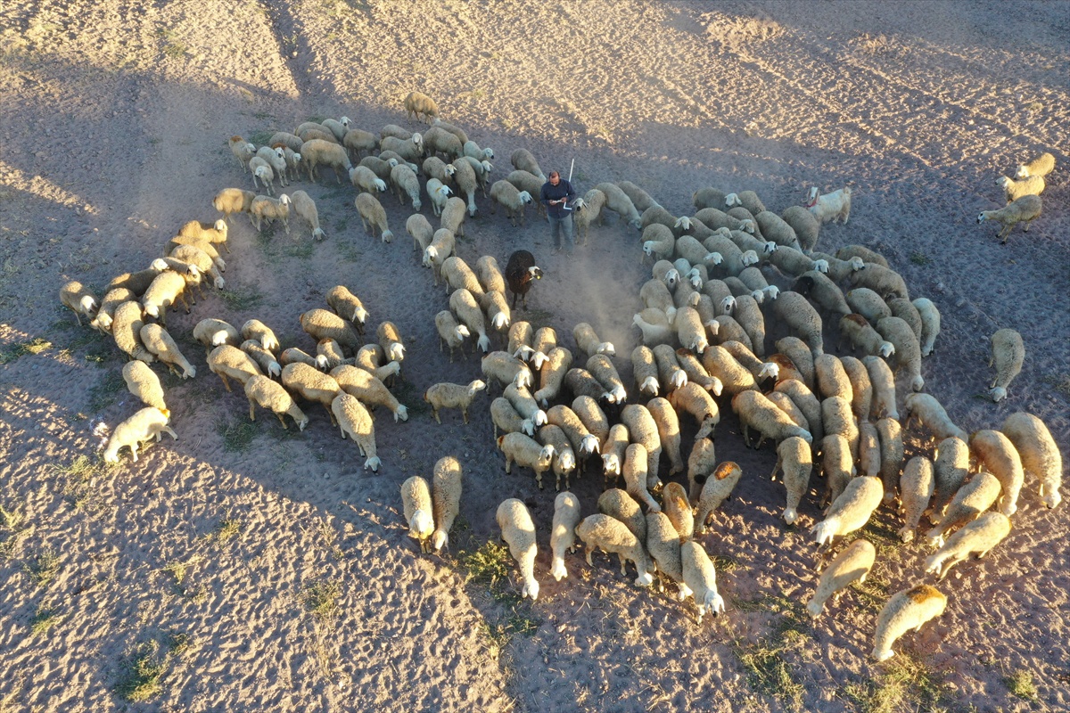 Nevşehir\'de çoban, merada ezber yaparak 6 yılda hafız oldu