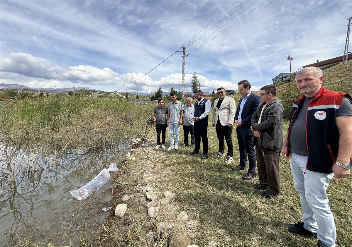 Sinop Durağan\'da İkiz ve Karacören göletlerine 2 bin sazan yavrusu bırakıldı