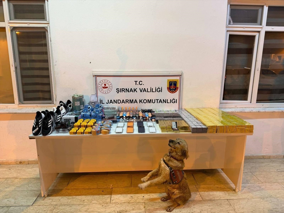 Şırnak\'ta kaçakçılık operasyonlarında yakalanan 29 şüpheliden 1\'i tutuklandı