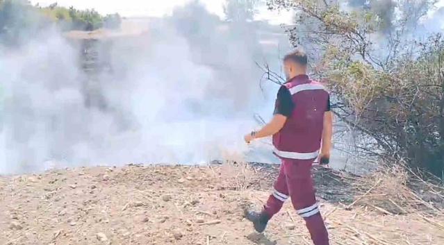 Edirne Meriç'te ağaçlık alanda çıkan yangına ekipler müdahale ediyor