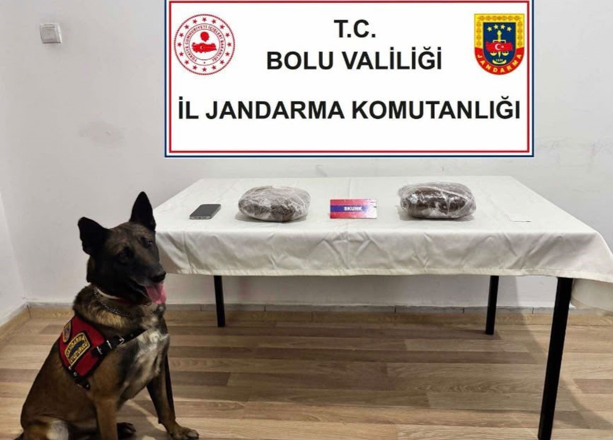 TEM\'de yolcu otobüsünde 810 gram skunk ve 1 gram kokain ele geçirildi